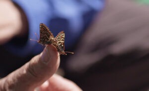 Dans le cadre de la journée de la Terre, le festival de ... Image 1